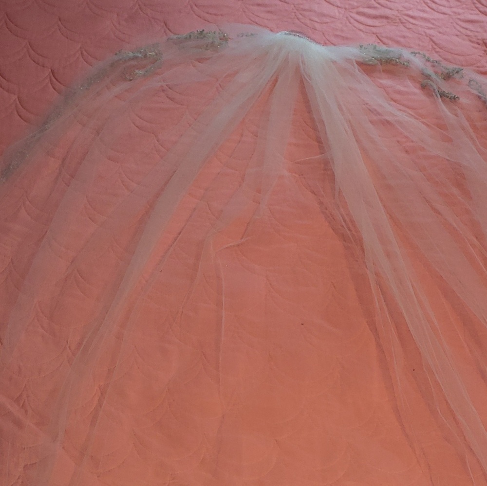 Veil - Picture 3 of 8
